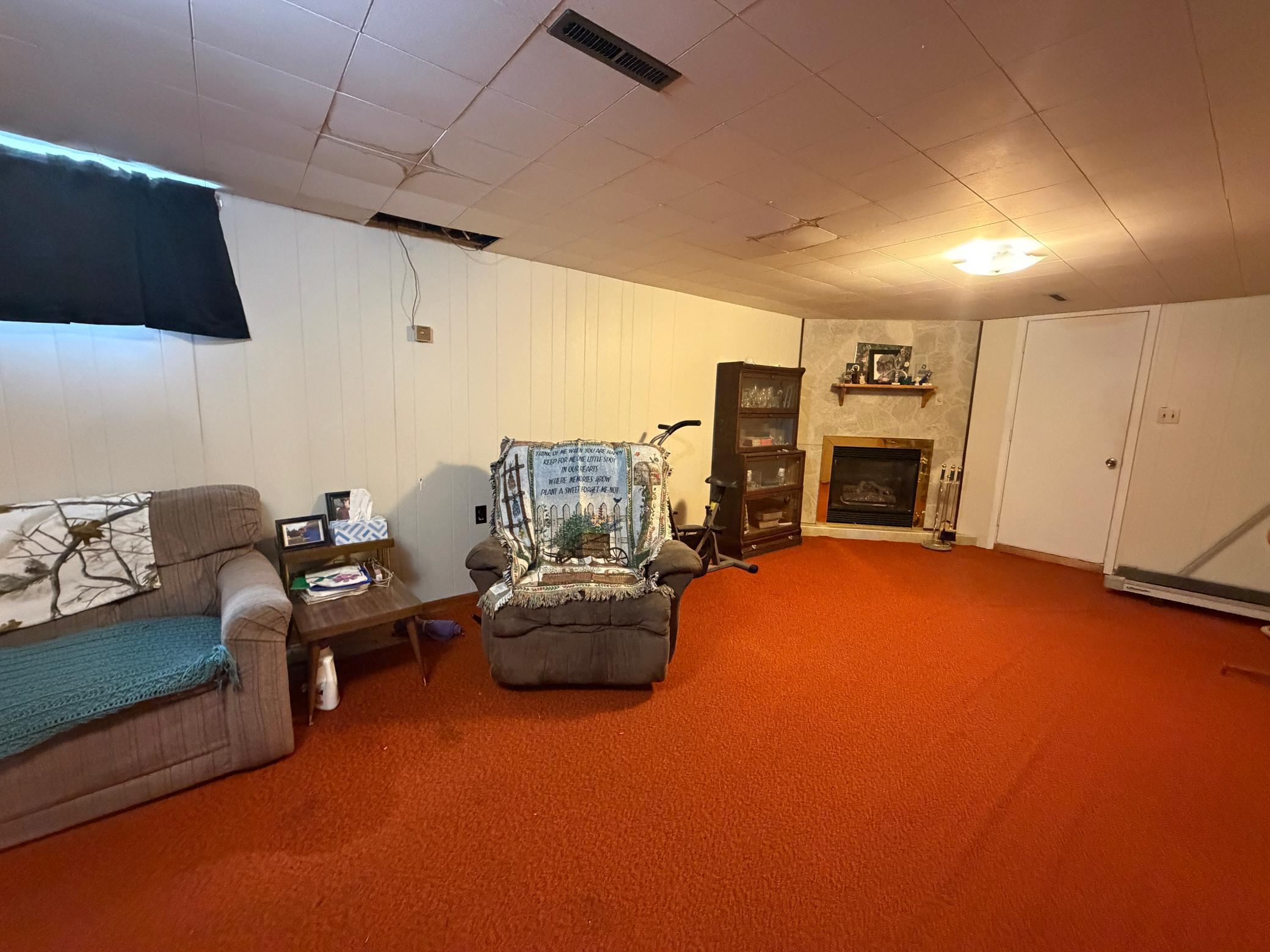 Basement Family Room