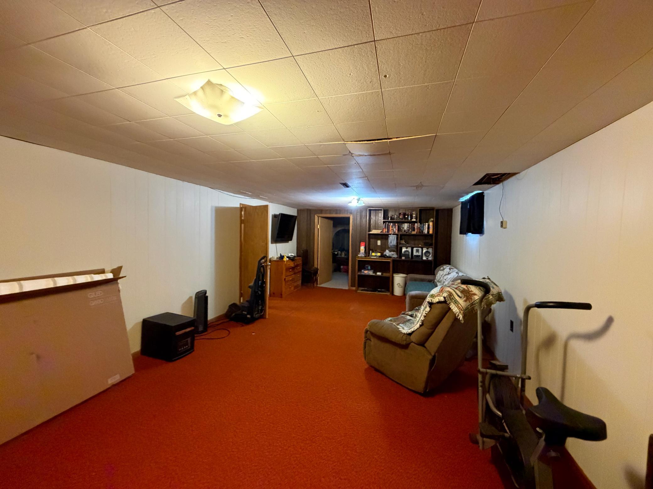 Basement Family Room
