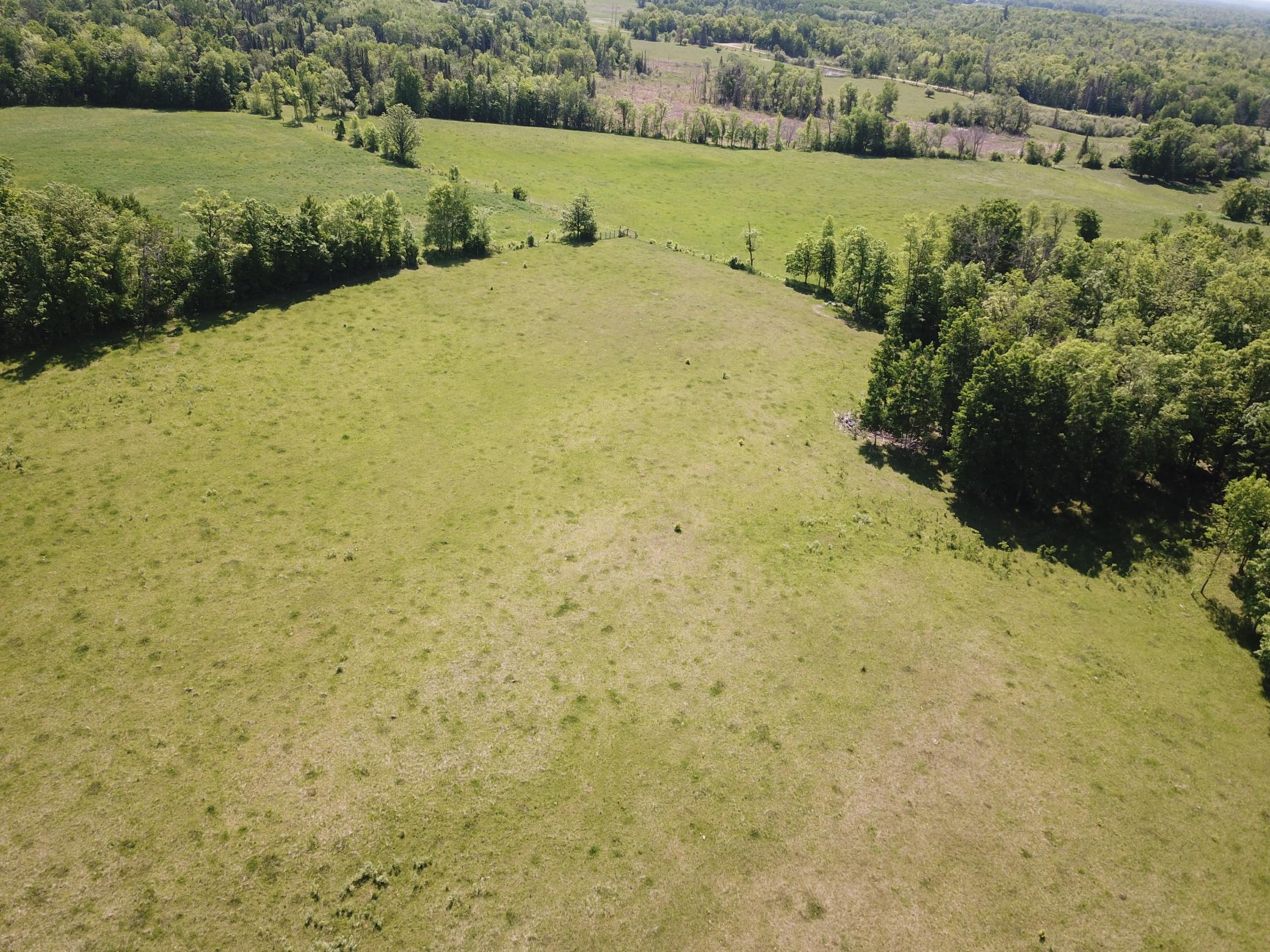 DJI_0011.JPG