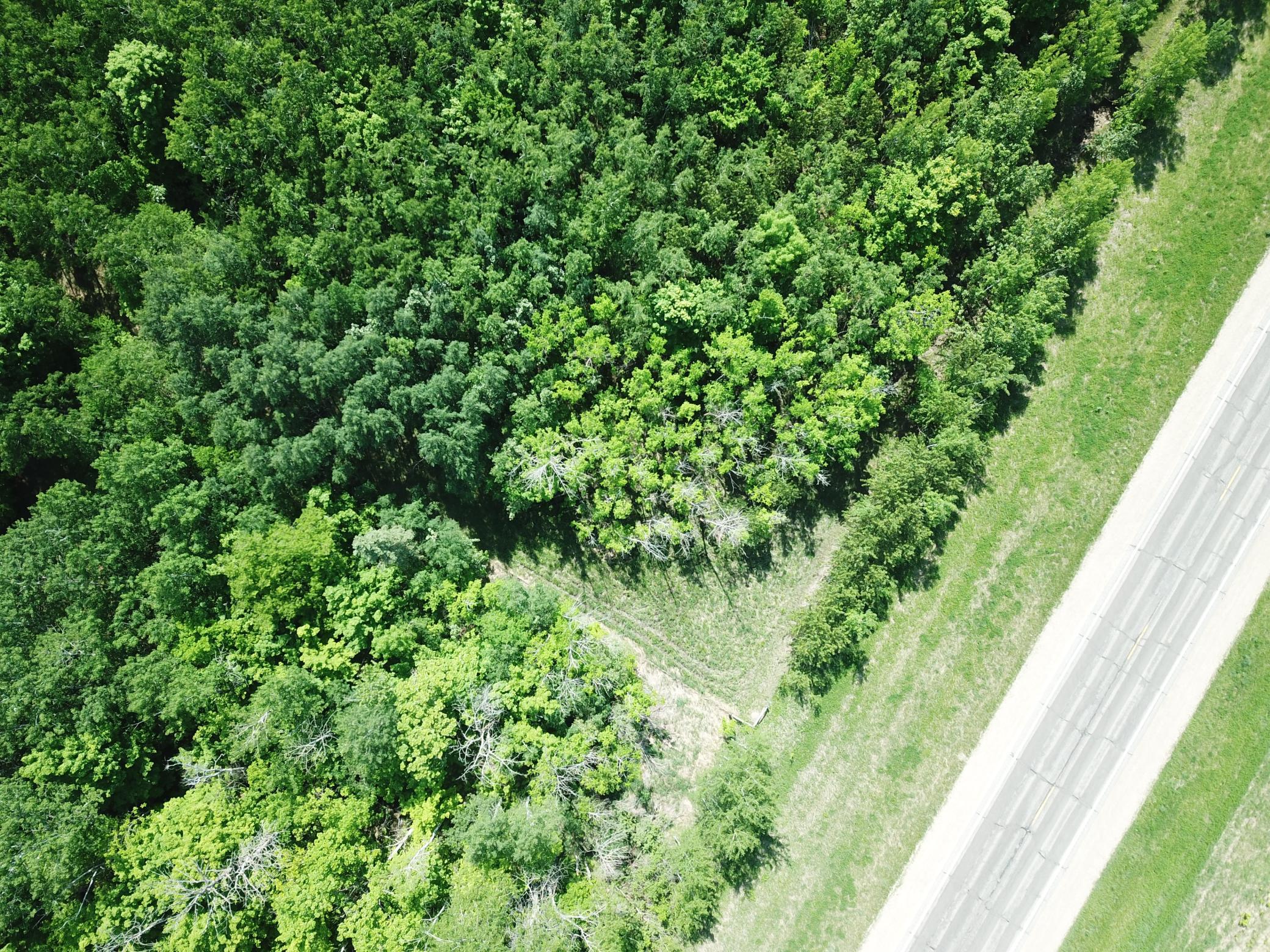 DJI_0052.JPG