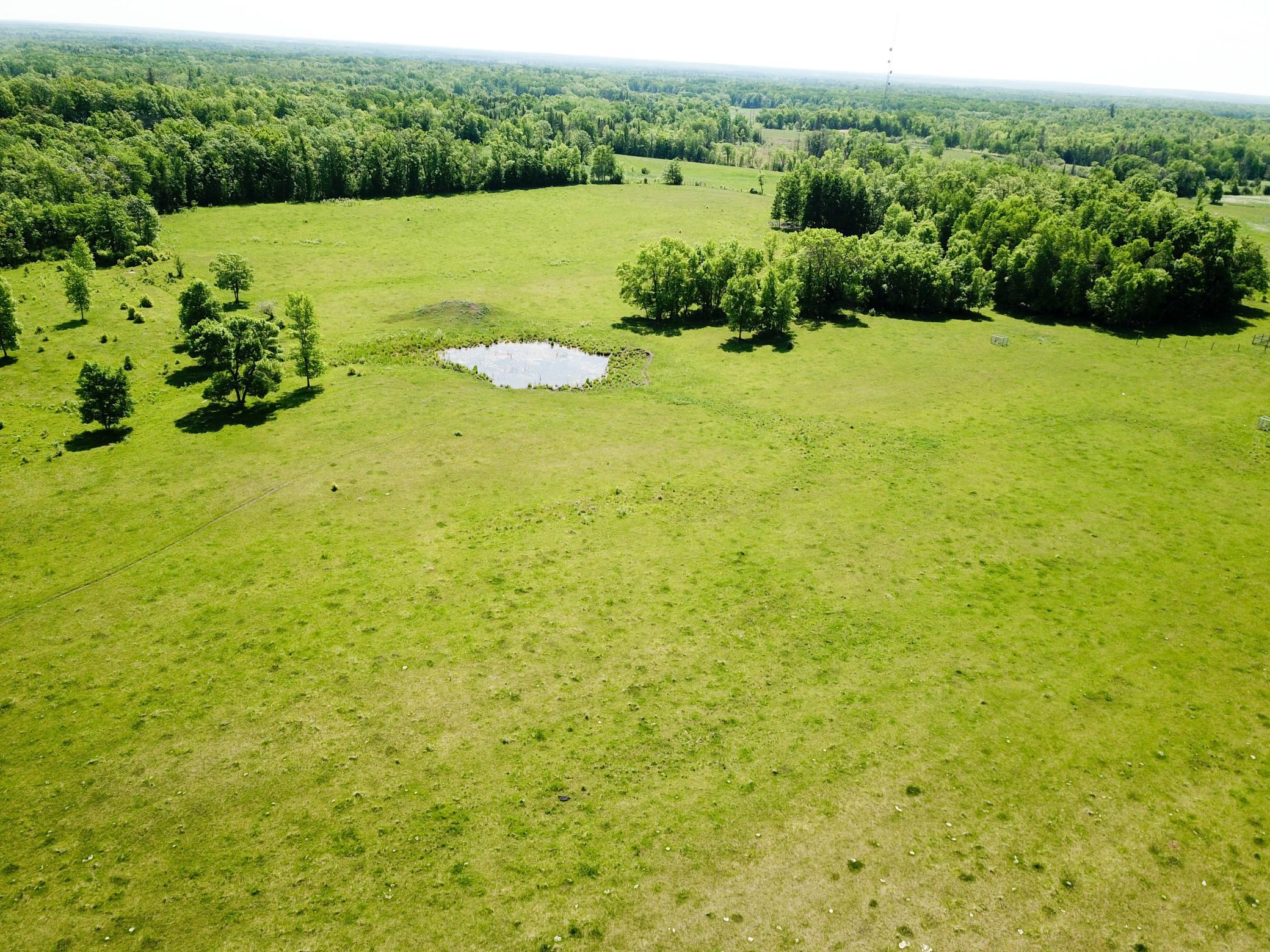 DJI_0005.JPG