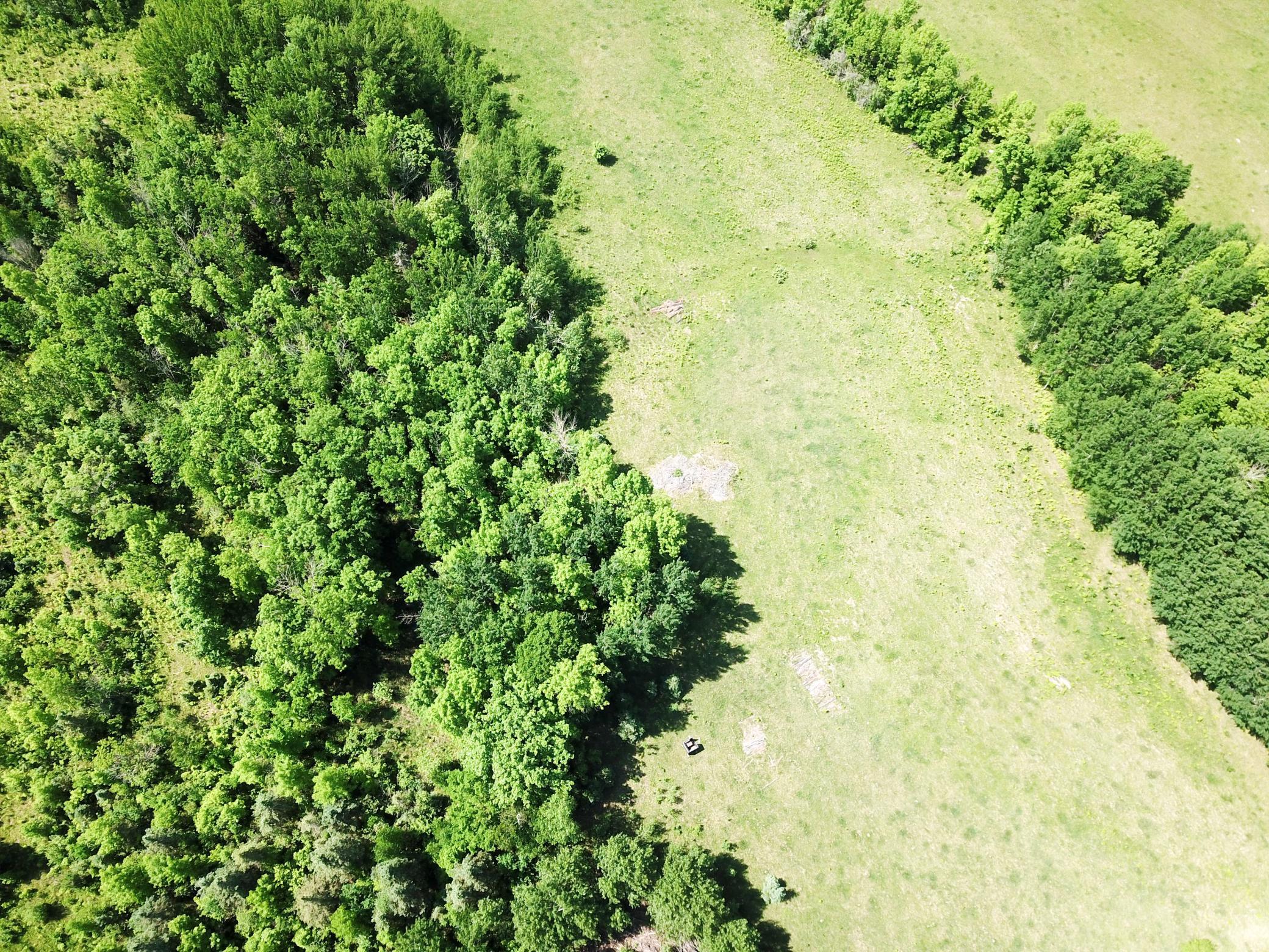 DJI_0037.JPG