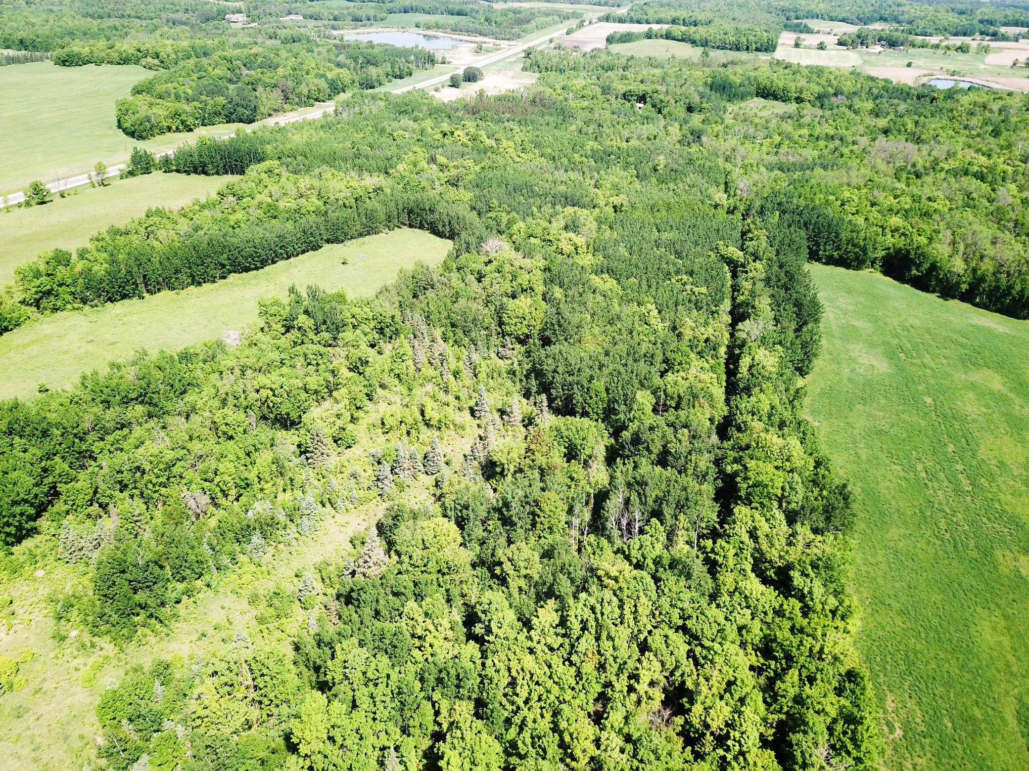 DJI_0023.JPG