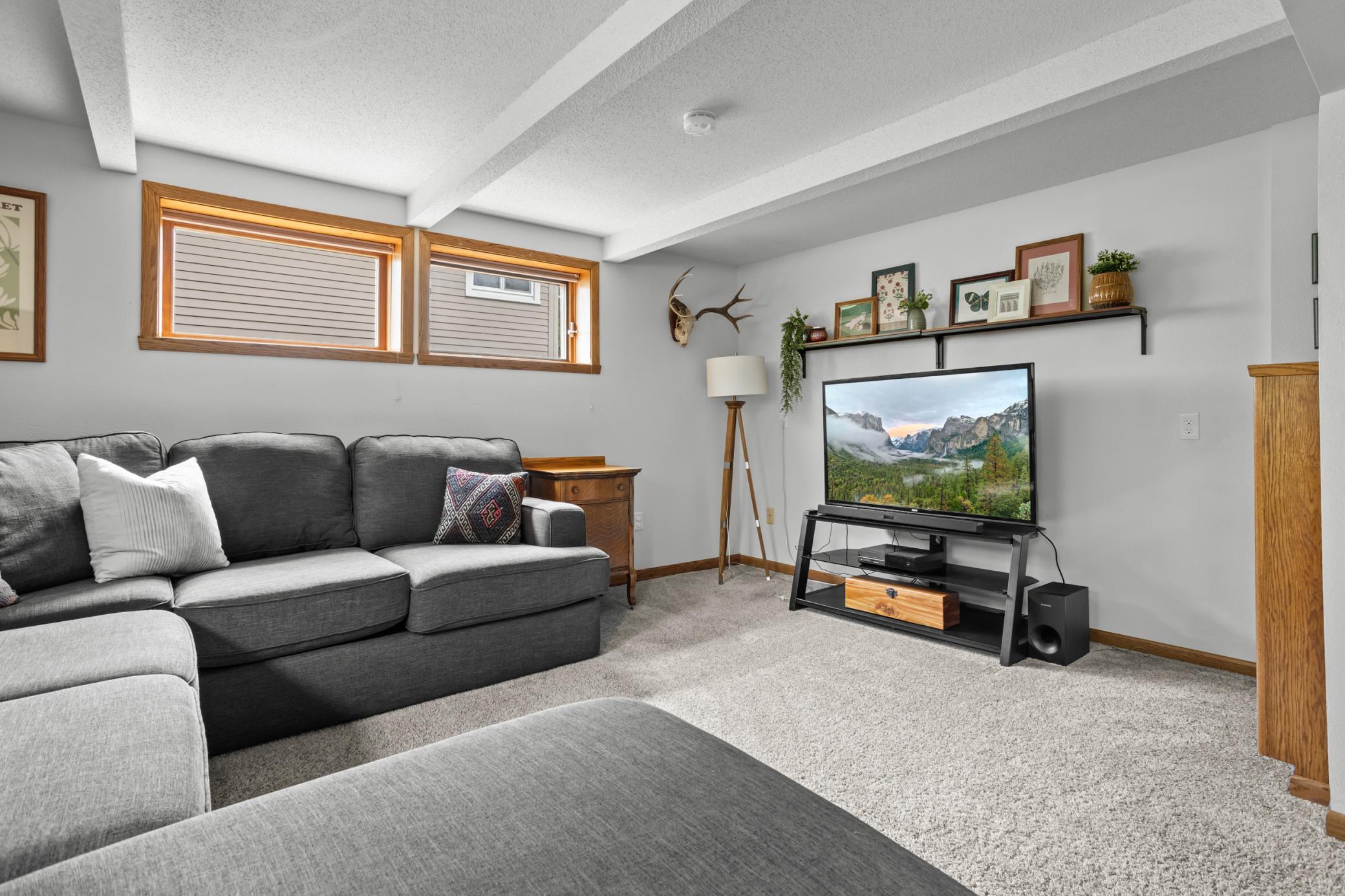 Family Room Lower Level