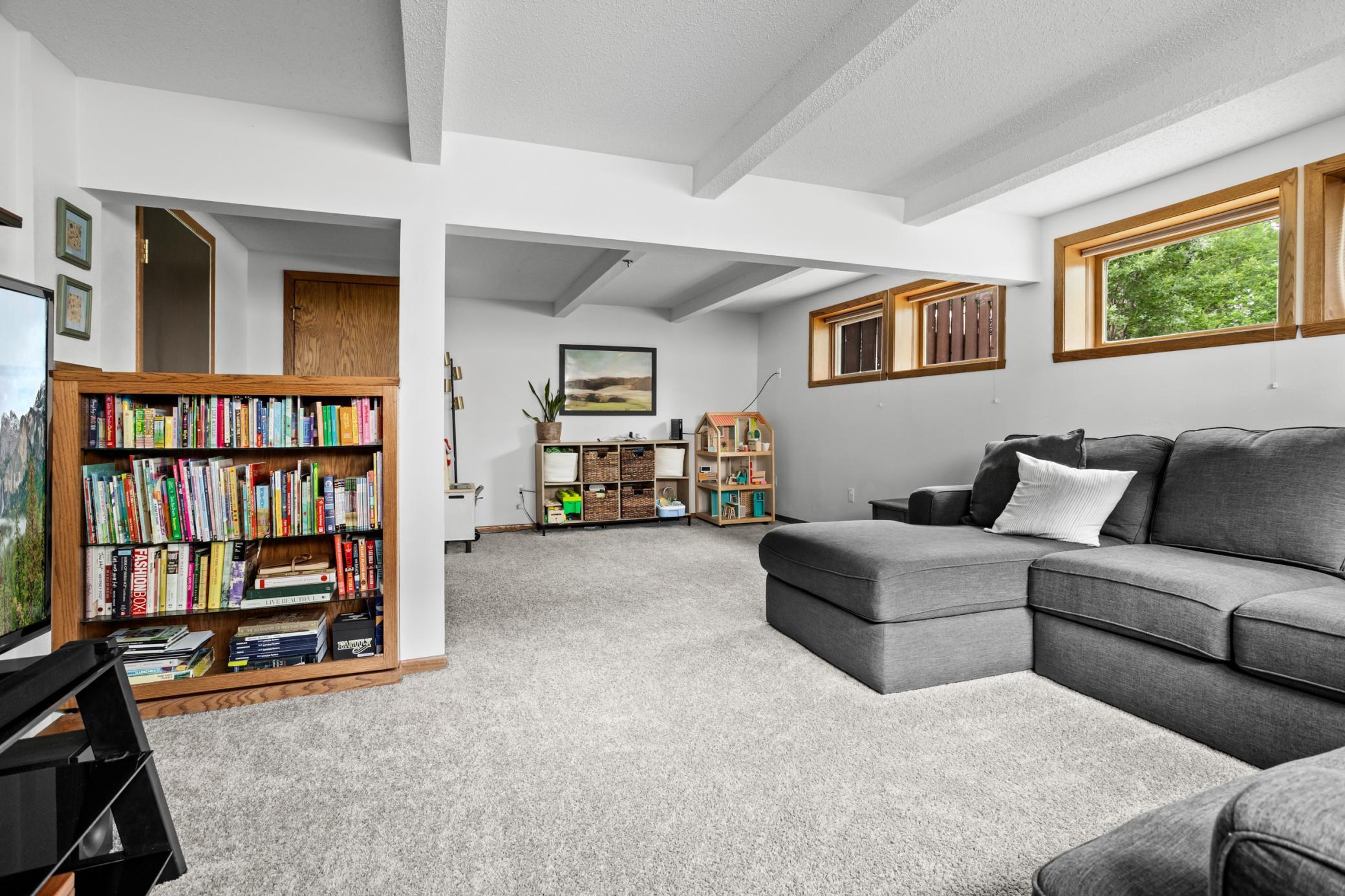 Family Room Lower Level
