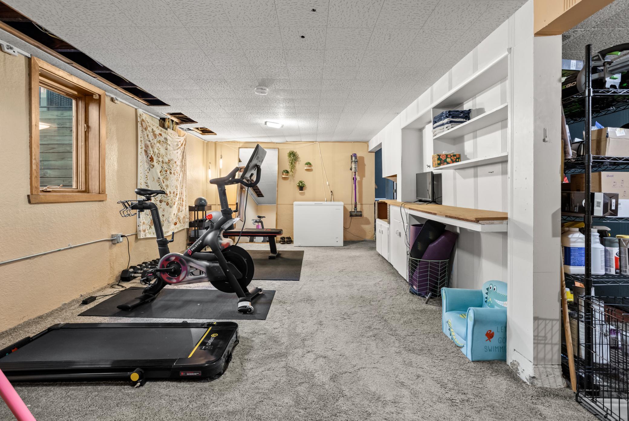 Basement Flex Room