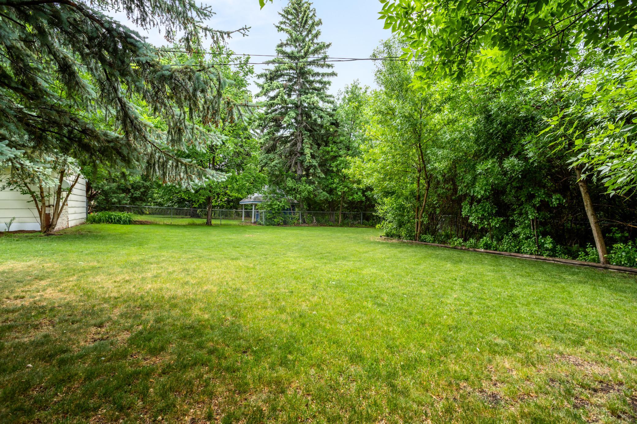Wooded yard with mature trees