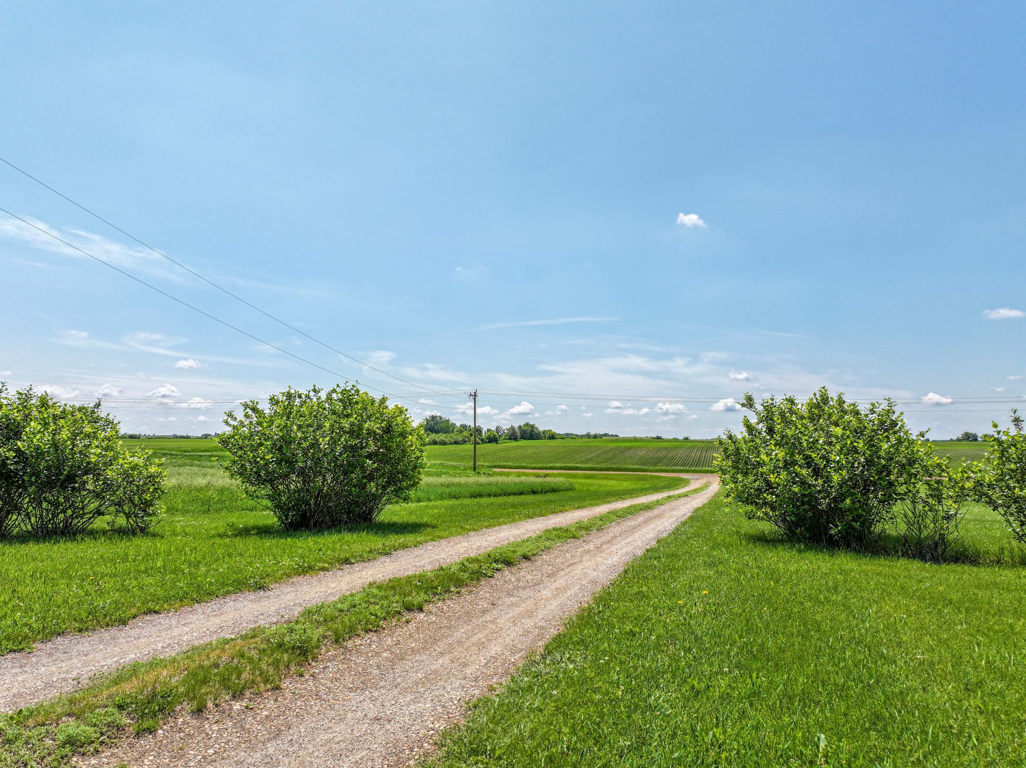 Country Road Take Me Home.jpg