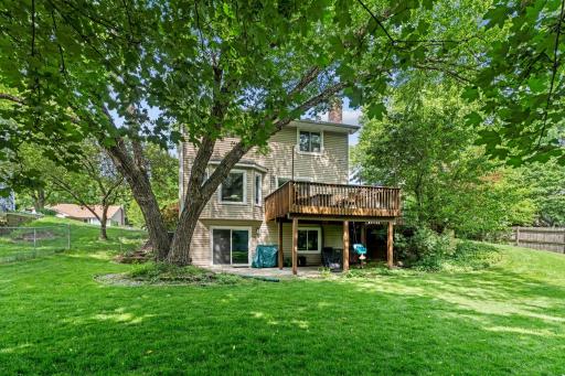 Walkout lower level into HUGE fenced in backyard