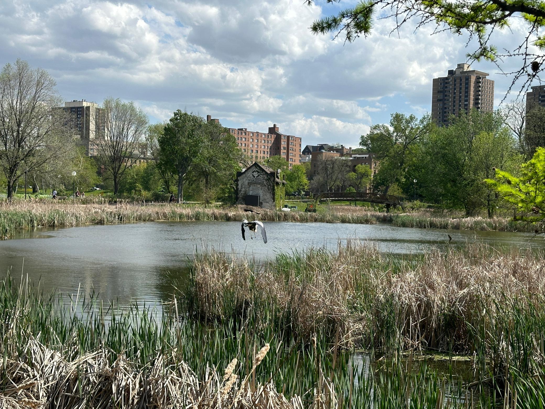 Loring Park offers beautiful scenery, walking paths, and a peaceful outdoor retreat nearby.