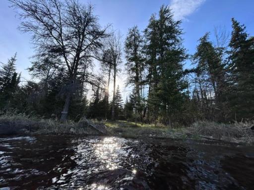 TBD Moonlit Island, Makinen, MN 55763