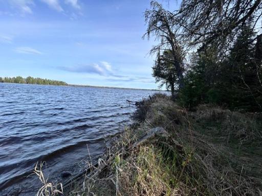 TBD Moonlit Island, Makinen, MN 55763