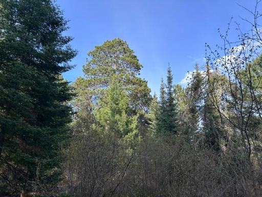 TBD Moonlit Island, Makinen, MN 55763