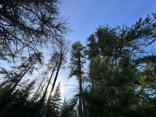 TBD Moonlit Island, Makinen, MN 55763