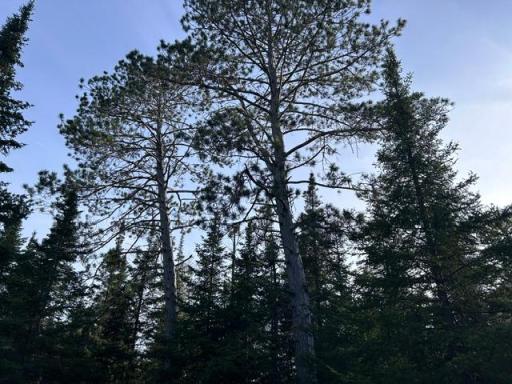 TBD Moonlit Island, Makinen, MN 55763