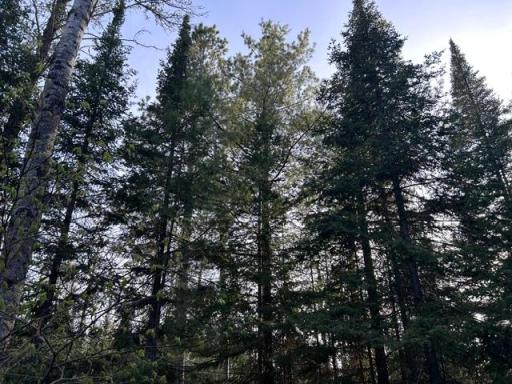 TBD Moonlit Island, Makinen, MN 55763