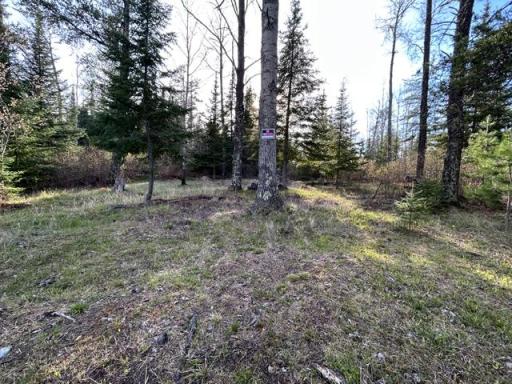 TBD Moonlit Island, Makinen, MN 55763