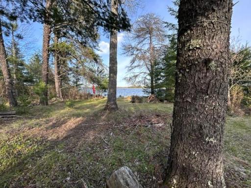 TBD Moonlit Island, Makinen, MN 55763