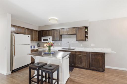 1411 Oak Leaf Lane, Burnsville, MN 55337