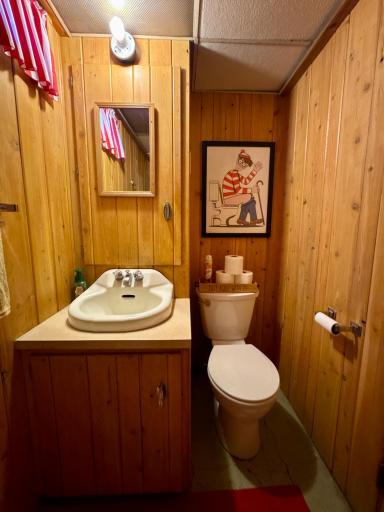 Lower Level 3/4 Bathroom