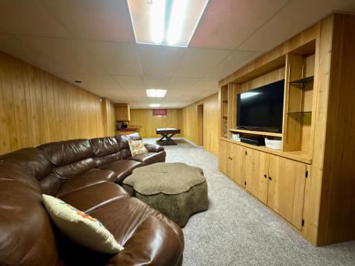 Lower Level Bonus Room