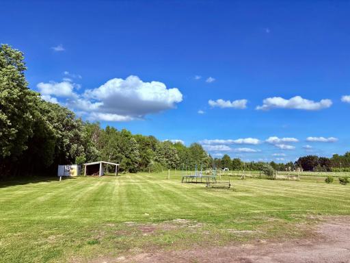 East side of yard
