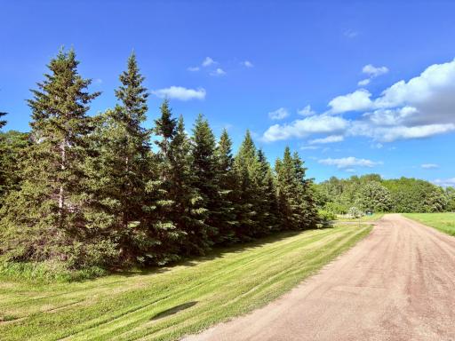 South corner of property- Winter Dr
