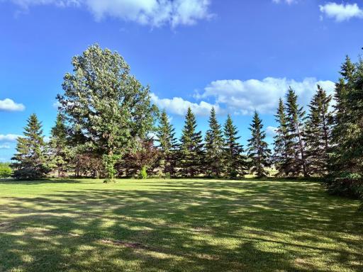 West side of yard
