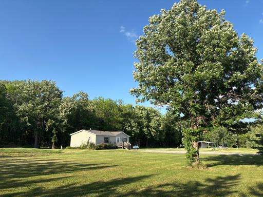Looking northeast