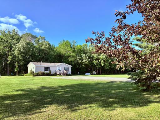 Huge yard