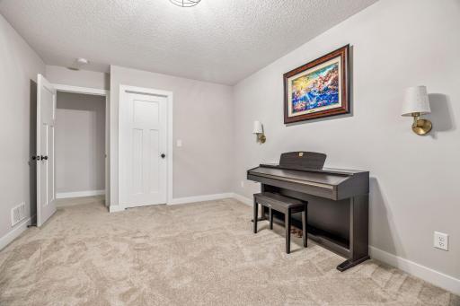 16885 Inca Street NW, Andover, MN 55304
