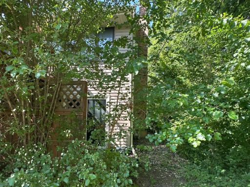 Private backyard with lush green shrubs providing natural privacy.