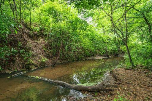 Prairie Creek on Western Edge of Property