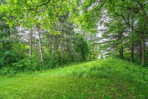 72-Wooded Lot.jpg