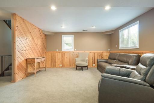Lower Level Family Room