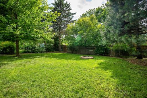 Outdoor space to play or let the animals run!