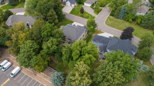 aerial 9.jpg