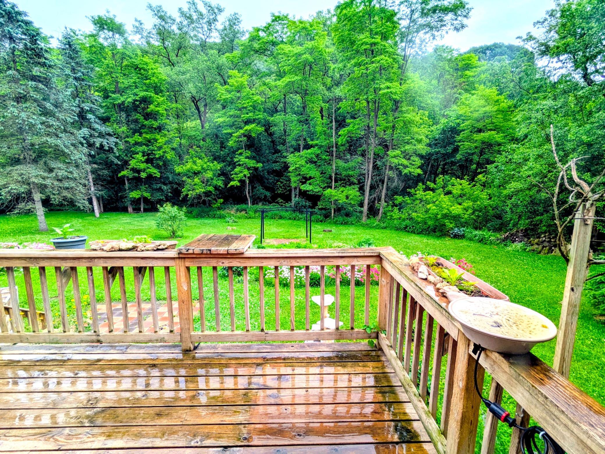 BACK YARD 3.jpg