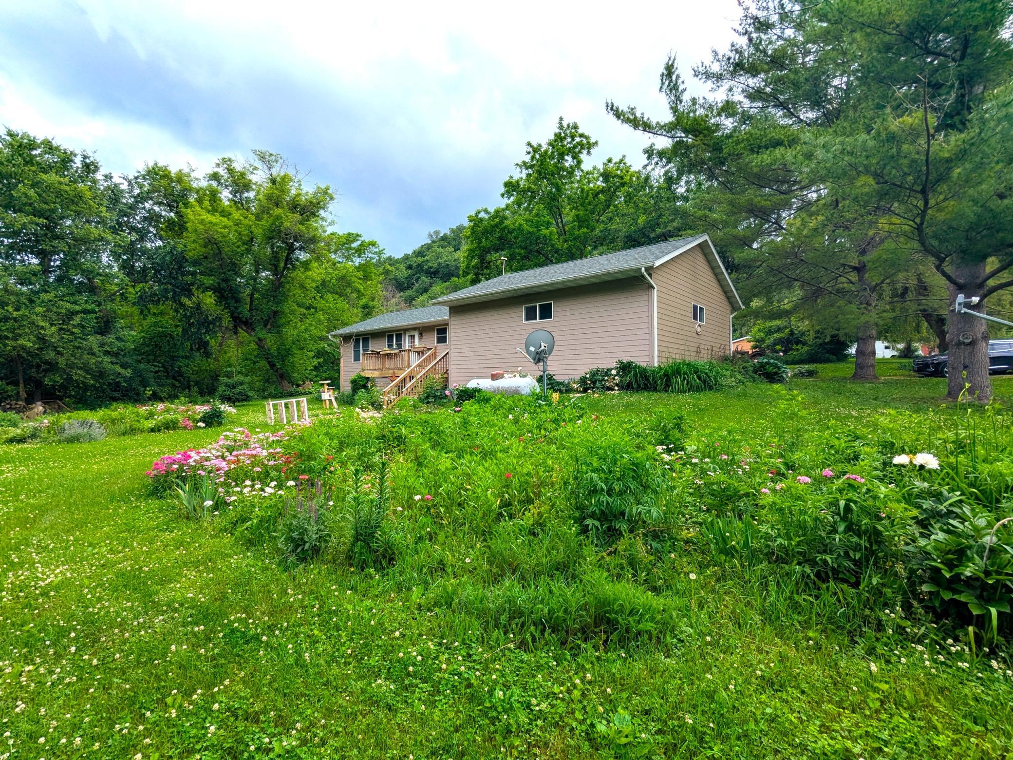 BACK YARD 1.jpg