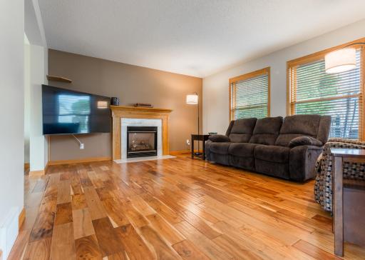 247 Pendryn Hill Circle, Saint Paul, MN 55125