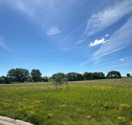102 Savannah Heights Boulevard, Lynd, MN 56157