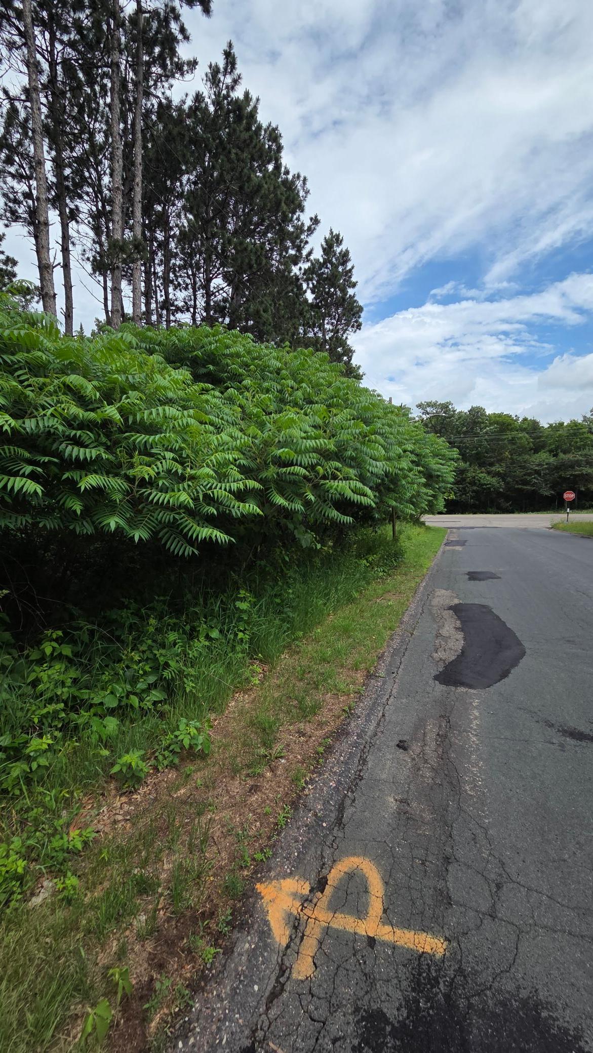 View of 161st from Upland - property on the left