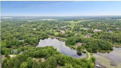 75 Apple Orchard 5.jpg