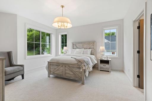 The main level features a luxurious owner’s suite with a spacious layout and a large walk-in closet designed for comfort and convenience.