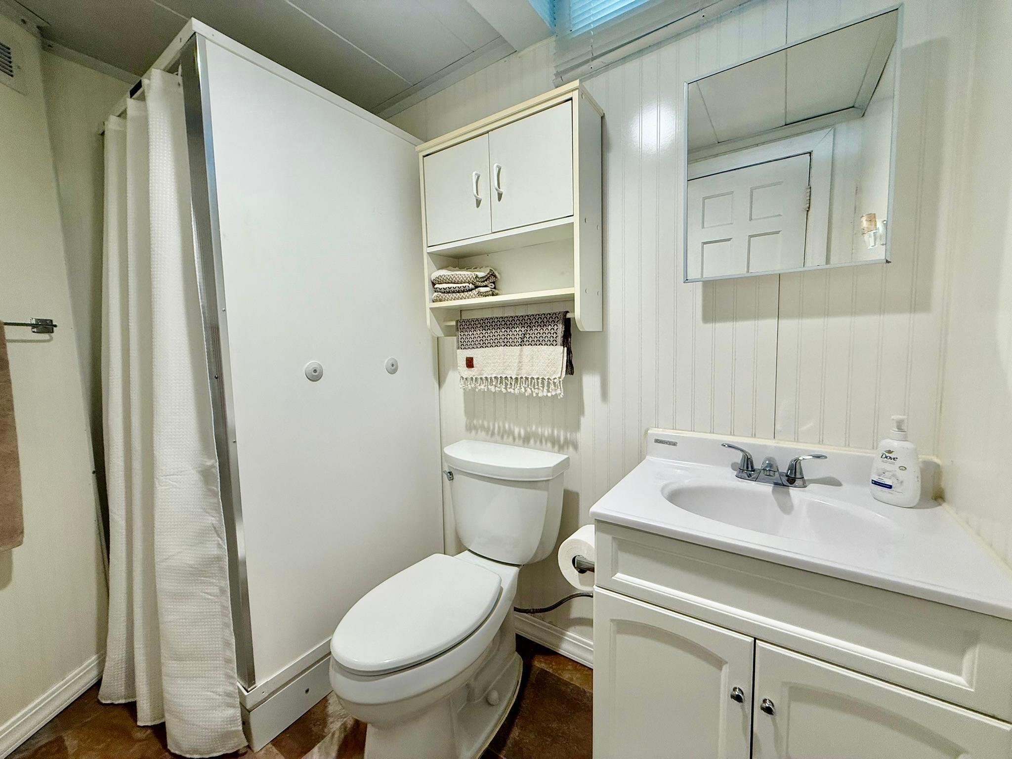 Lower level 3/4 bath