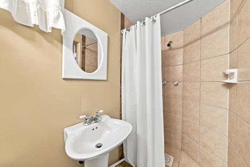 Lower Level Bathroom