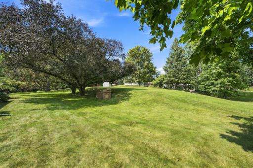 Backyard view from covered patio
