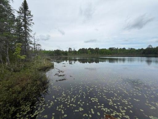 9064 Peppard Road, Britt, MN 55710