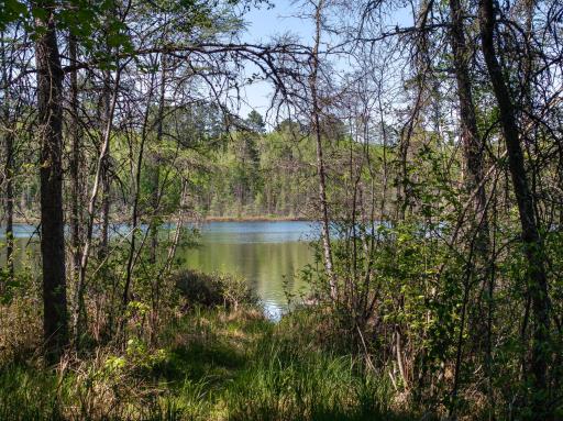 9064 Peppard Road, Britt, MN 55710