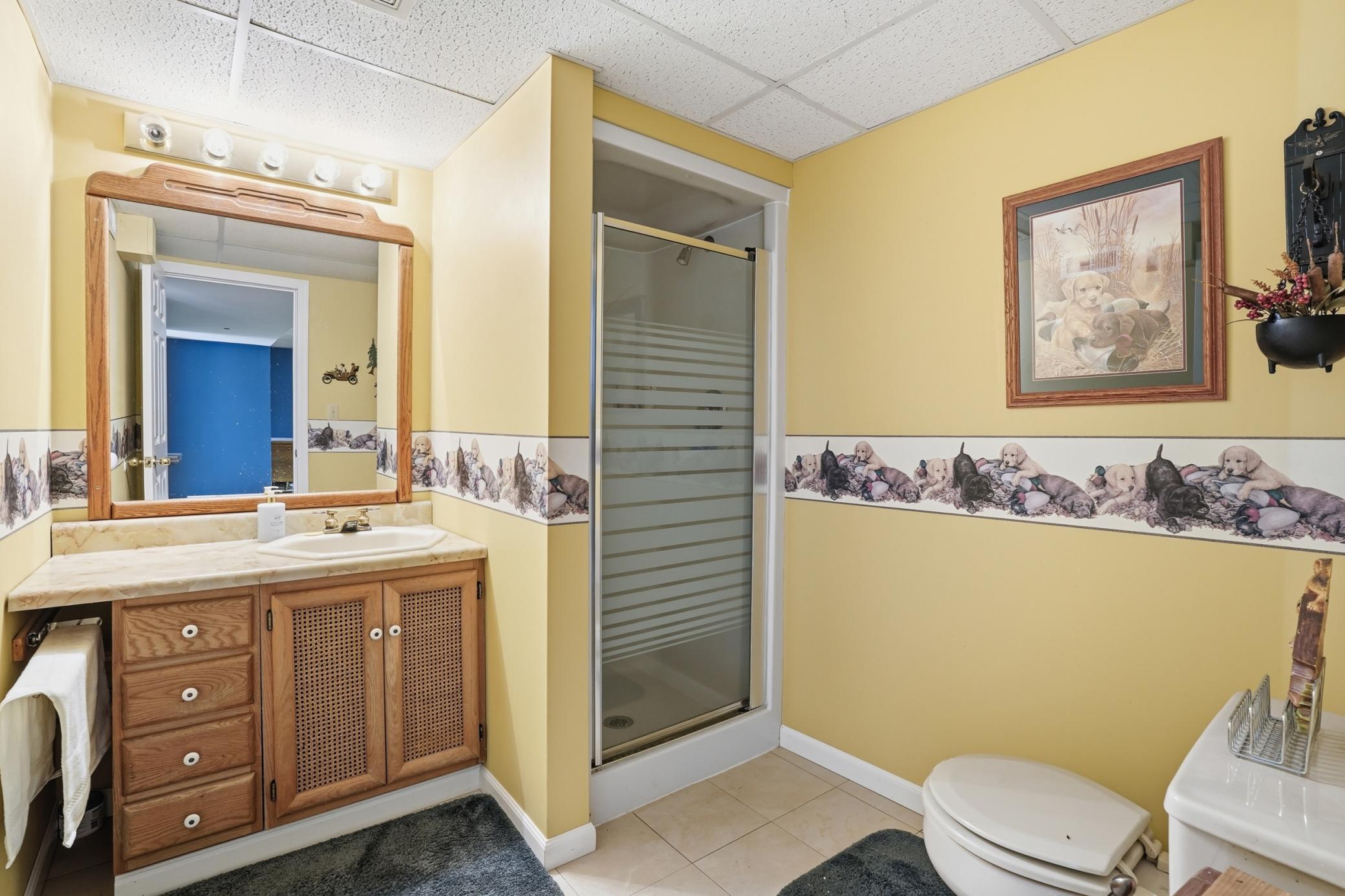 Lower level bathroom